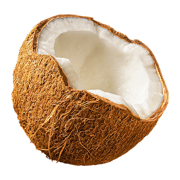 <h3>Coconut Water Extract</h3>